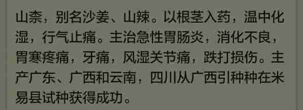 我们这里人叫黄金说是很好的一种药材但是学名到底叫什么有人知道吗